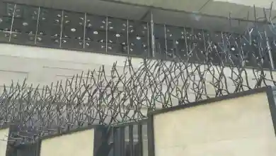حفاظ بوته ای
