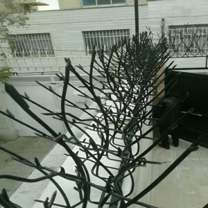 حفاظ بوته ای تراکم ۵۳