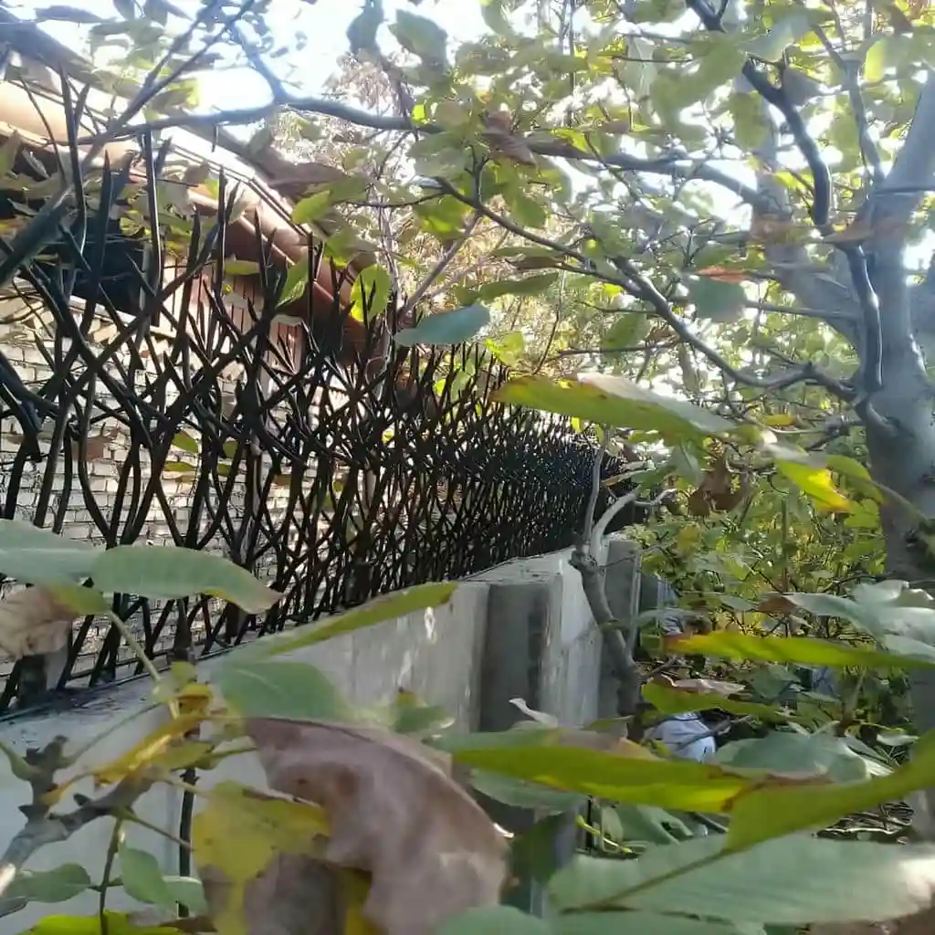 حفاظ شاخ گوزنی تراکم بالا با رنگ مشکی خاص