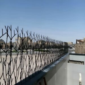 حفاظ شاخ گوزنی تراکم 31