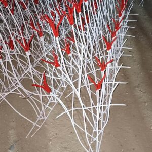 حفاظ غنچه ای