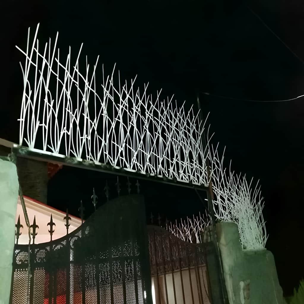 حفاظ نیزار