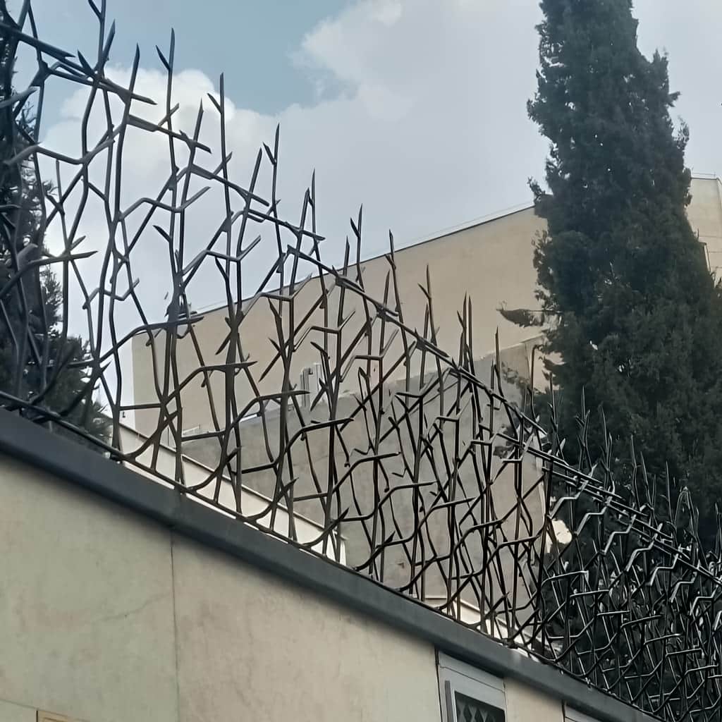 حفاظ شاخ گوزنی با ارتفاع و تراکم متناسب