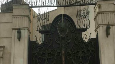 حفاظ شاخ گوزنی فلزی در شهرکرد