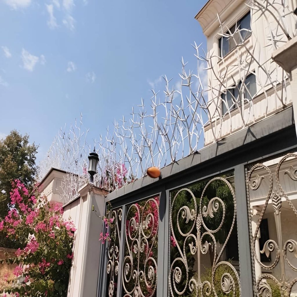 کارخانه حفاظ شاخ گوزنی فرم منظم در بندر انزلی