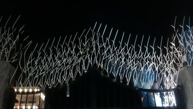 حفاظ شاخ گوزنی فلزی در بابل