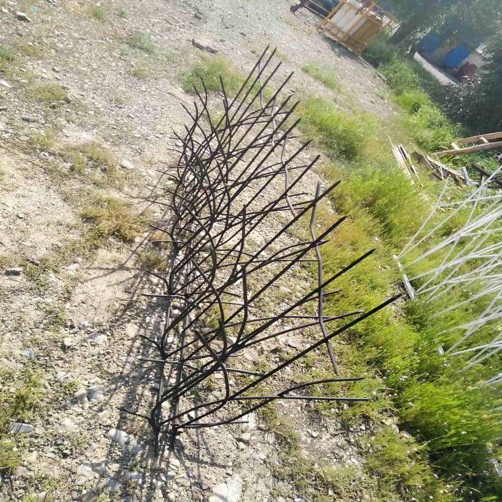 خرید حفاظ شاخ گوزنی شاخه منظم در فردیس کرج
