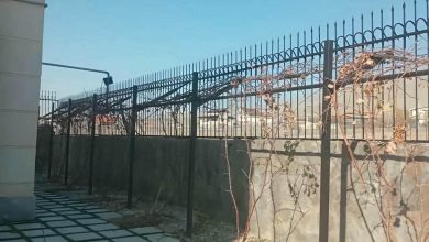حفاظ شاخ گوزنی فلزی در بیرجند