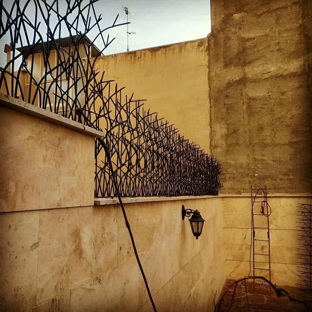 کارخانه حفاظ شاخ گوزنی فلزی جوشکاری دقیق در قائمشهر کارخانه حفاظ شاخ گوزنی فلزی جوشکاری دقیق در قائمشهر