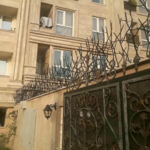 حفاظ شاخ گوزنی در نسیم شهر
