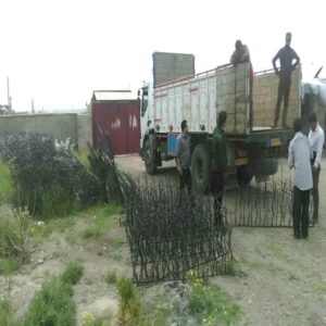 حفاظ شاخ گوزنی فلزی در هشتگرد