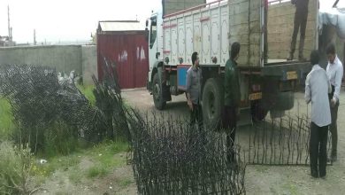 حفاظ شاخ گوزنی فلزی در هشتگرد