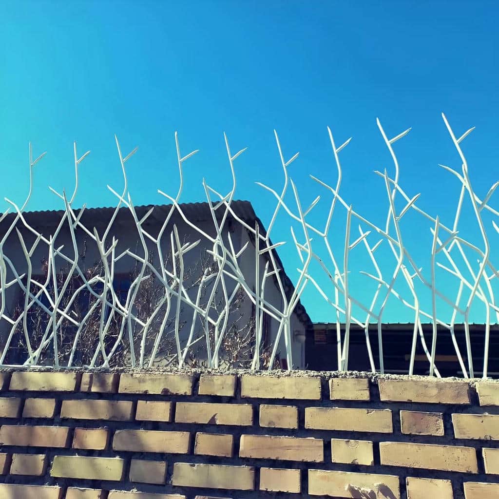 حفاظ شاخ گوزنی فلزی در مریوان