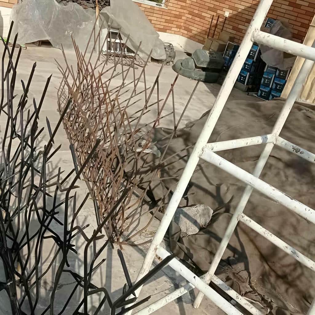 حفاظ شاخ گوزنی در استان مازندران
