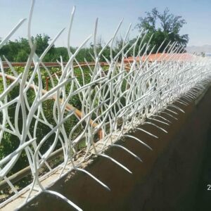 حفاظ شاخ گوزنی فلزی در آمل