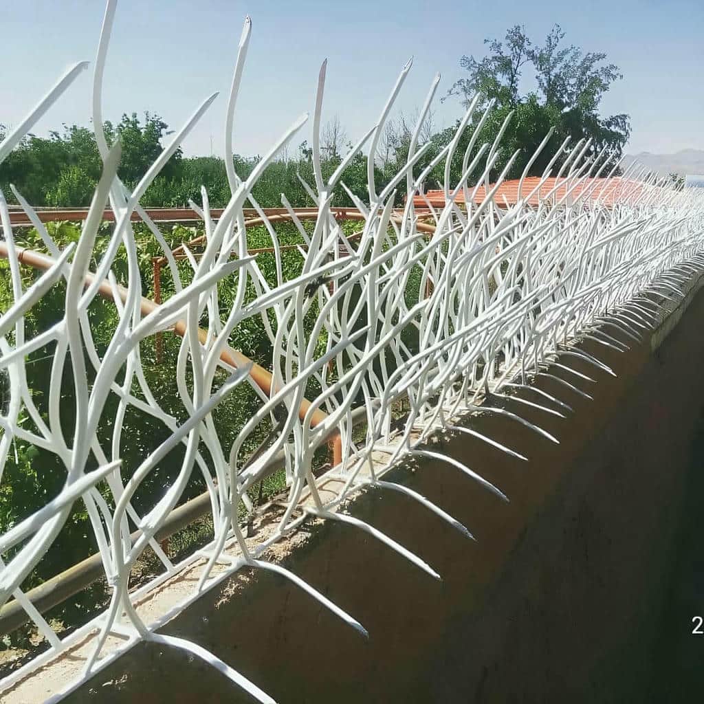 حفاظ شاخ گوزنی فلزی در آمل