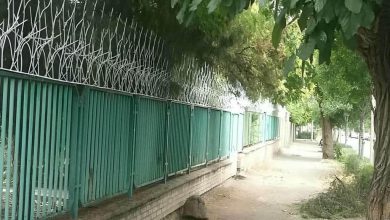 حفاظ شاخ گوزنی فلزی در فشم