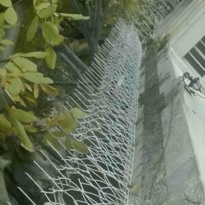 حفاظ شاخ گوزنی فلزی در سیرجان