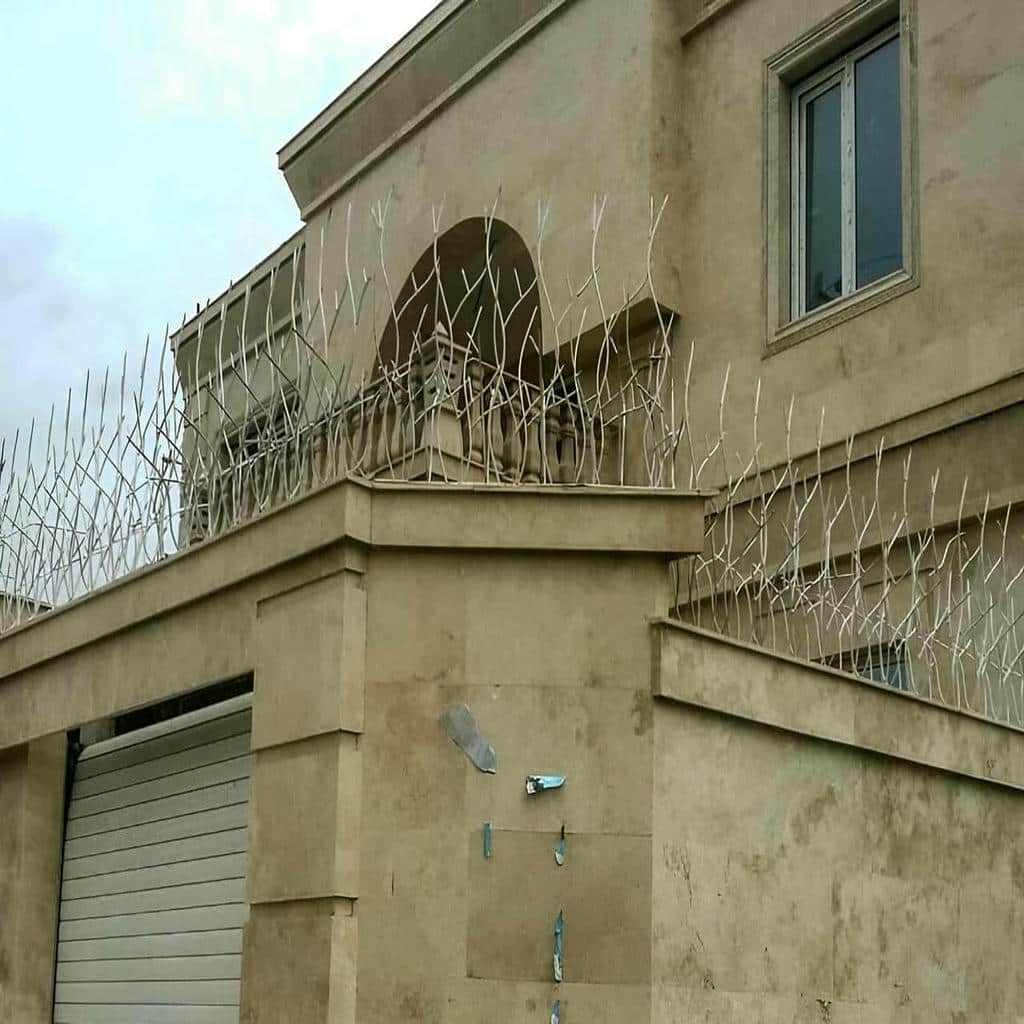 قیمت حفاظ شاخ گوزنی فلزی ضدزنگ در بیرجند