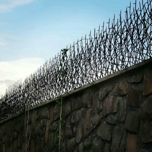 حفاظ شاخ گوزنی فلزی در قشم