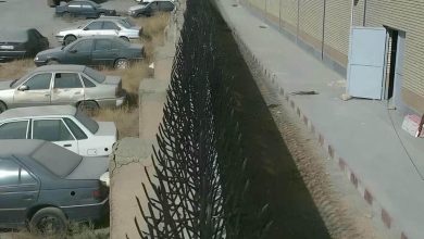 حفاظ شاخ گوزنی فلزی در قم