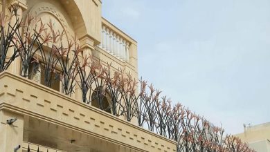 حفاظ شاخ گوزنی در بندر لنگه