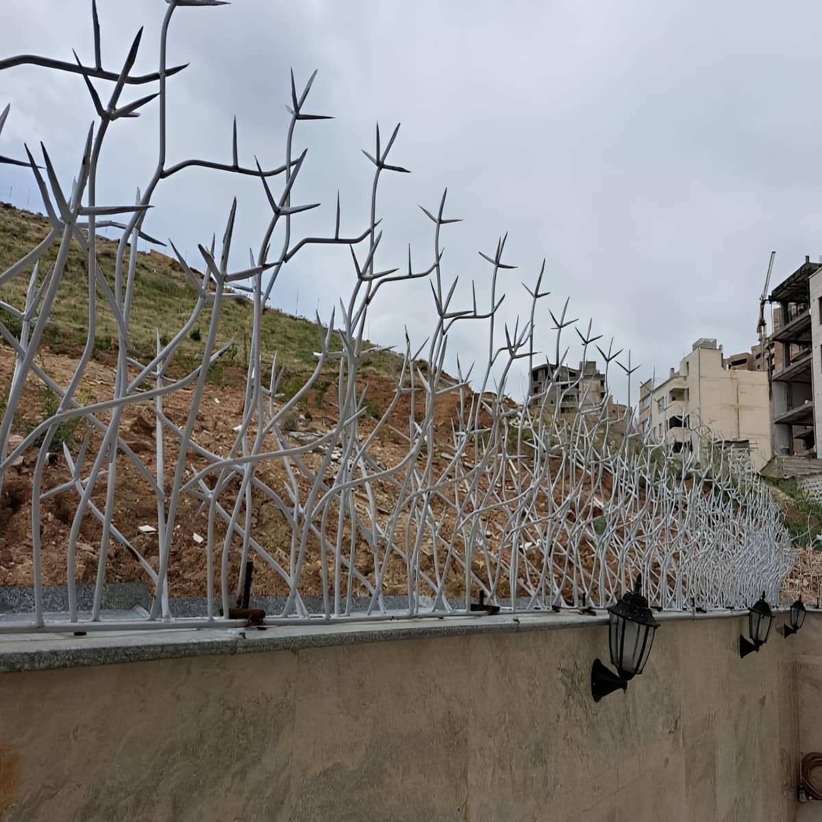 حفاظ شاخ گوزنی در استان خوزستان