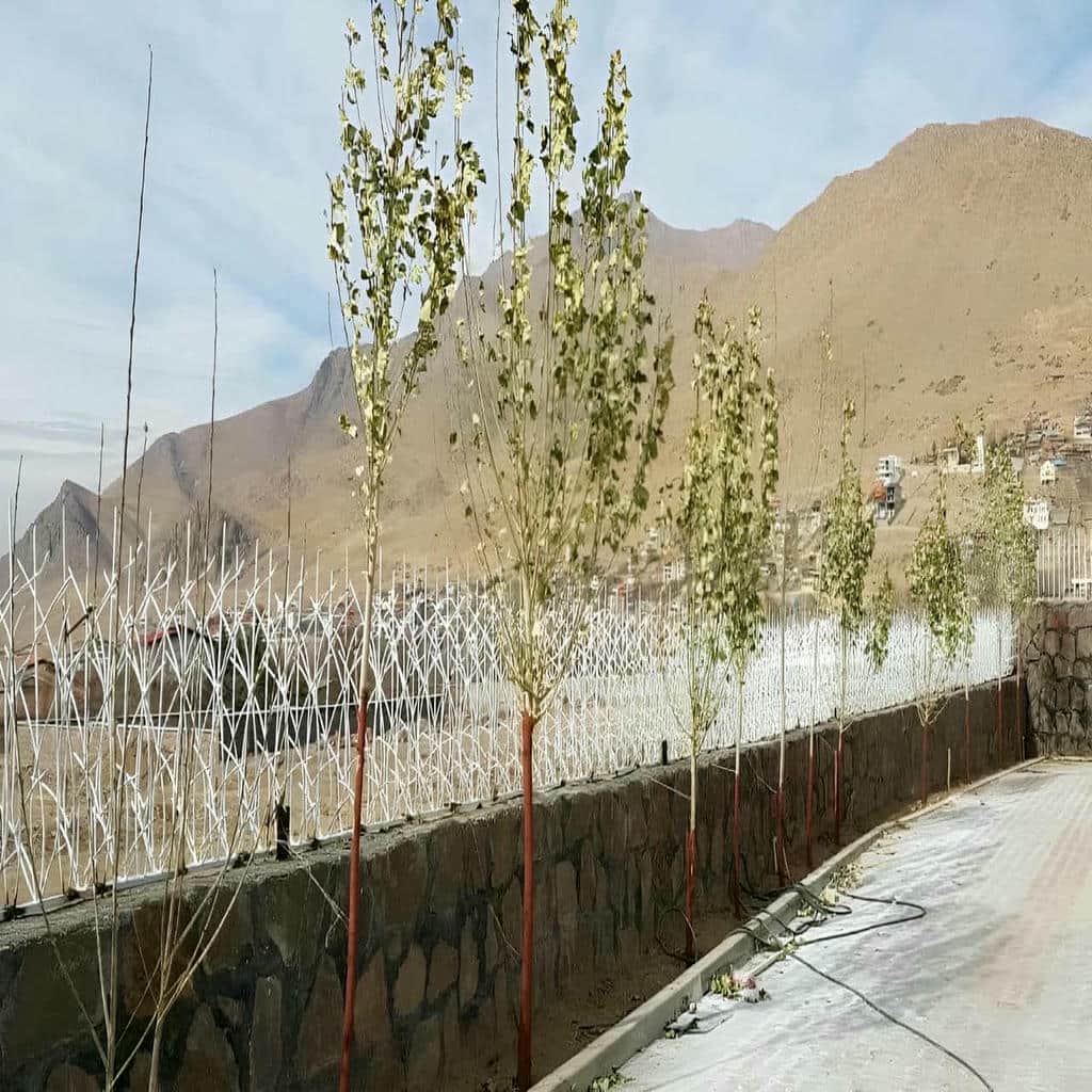 فروش حفاظ شاخ گوزنی فلزی طراحی سفارشی در قشم