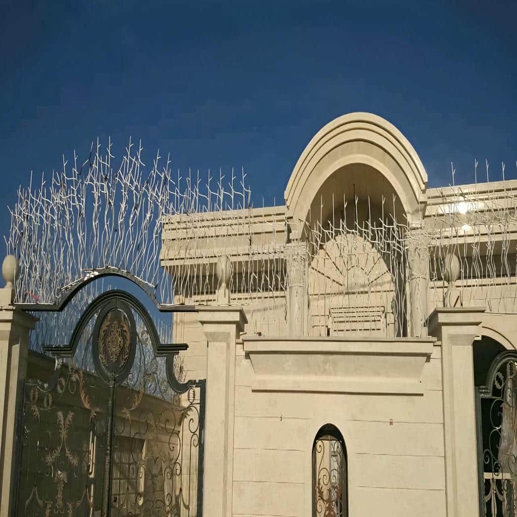 حفاظ شاخ گوزنی در مهرشهر کرج