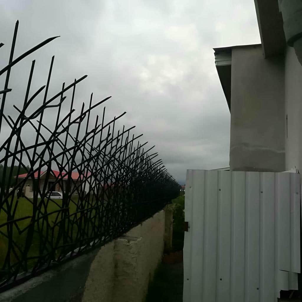 کارخانه حفاظ شاخ گوزنی فرم شاخه‌ای در استان گلستان