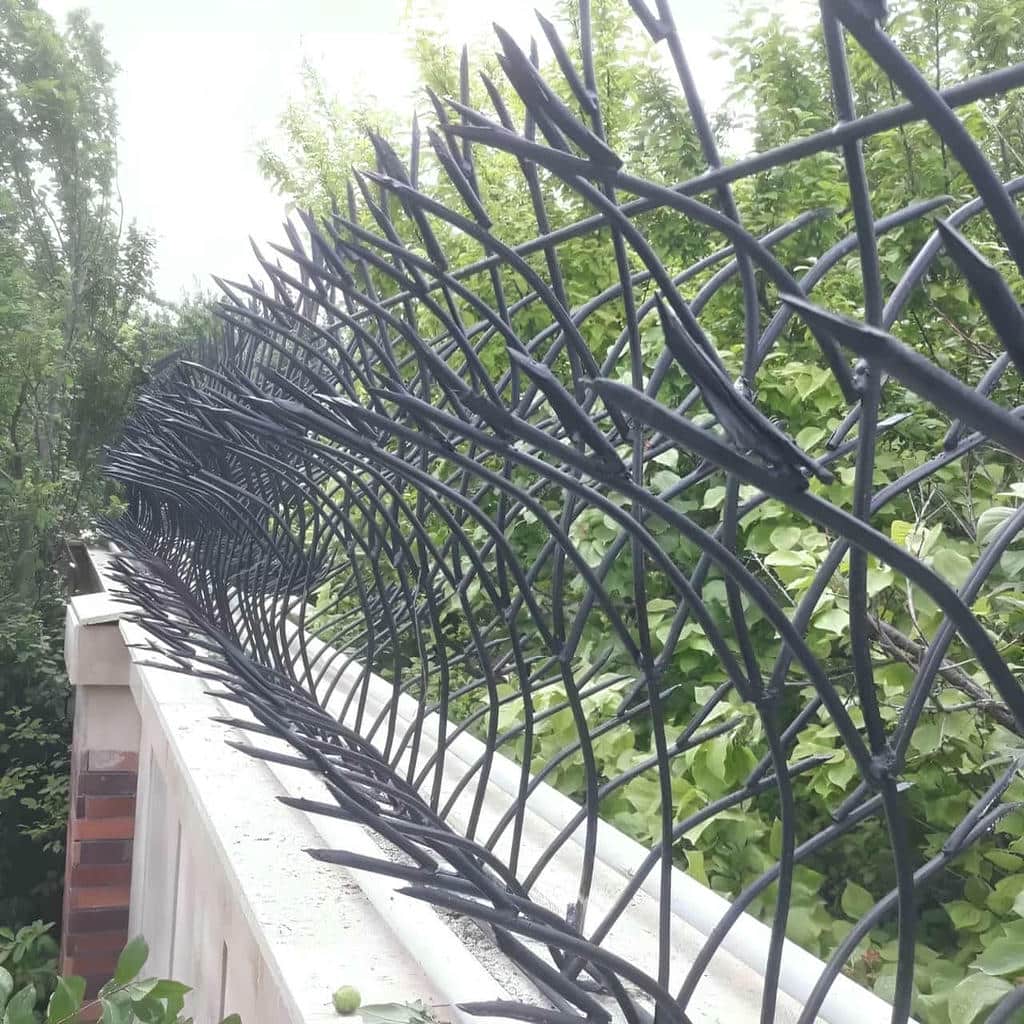 حفاظ شاخ گوزنی فلزی در دماوند
