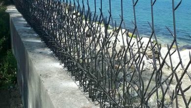حفاظ شاخ گوزنی فلزی در گنبدکاووس