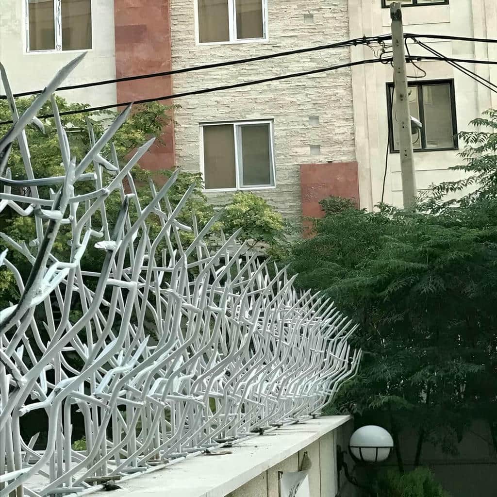 قیمت حفاظ شاخ گوزنی جوش دقیق در کرمان