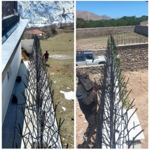 حفاظ شاخ گوزنی فلزی در کردان