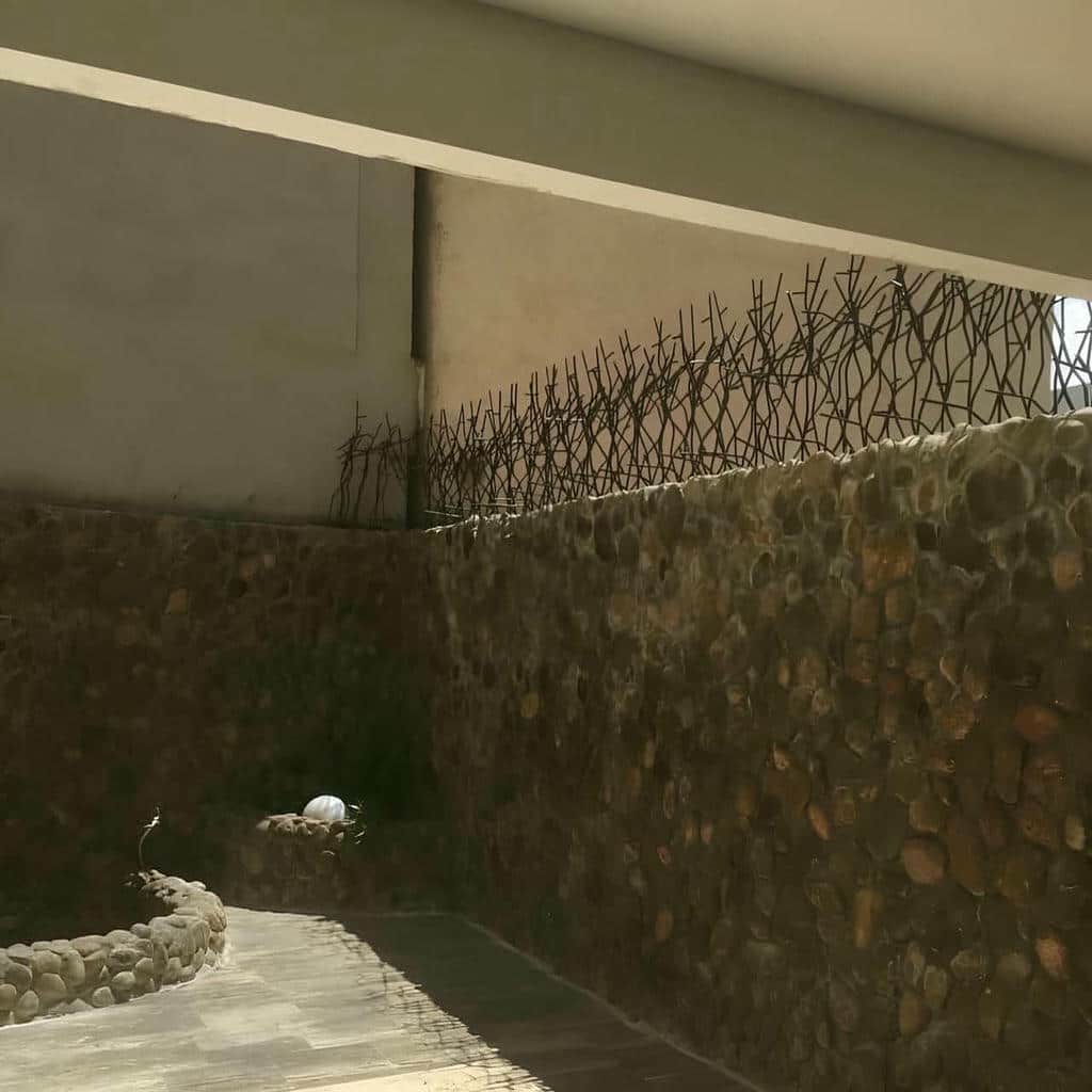 خرید حفاظ شاخ گوزنی شاخه منظم در نسیم شهر