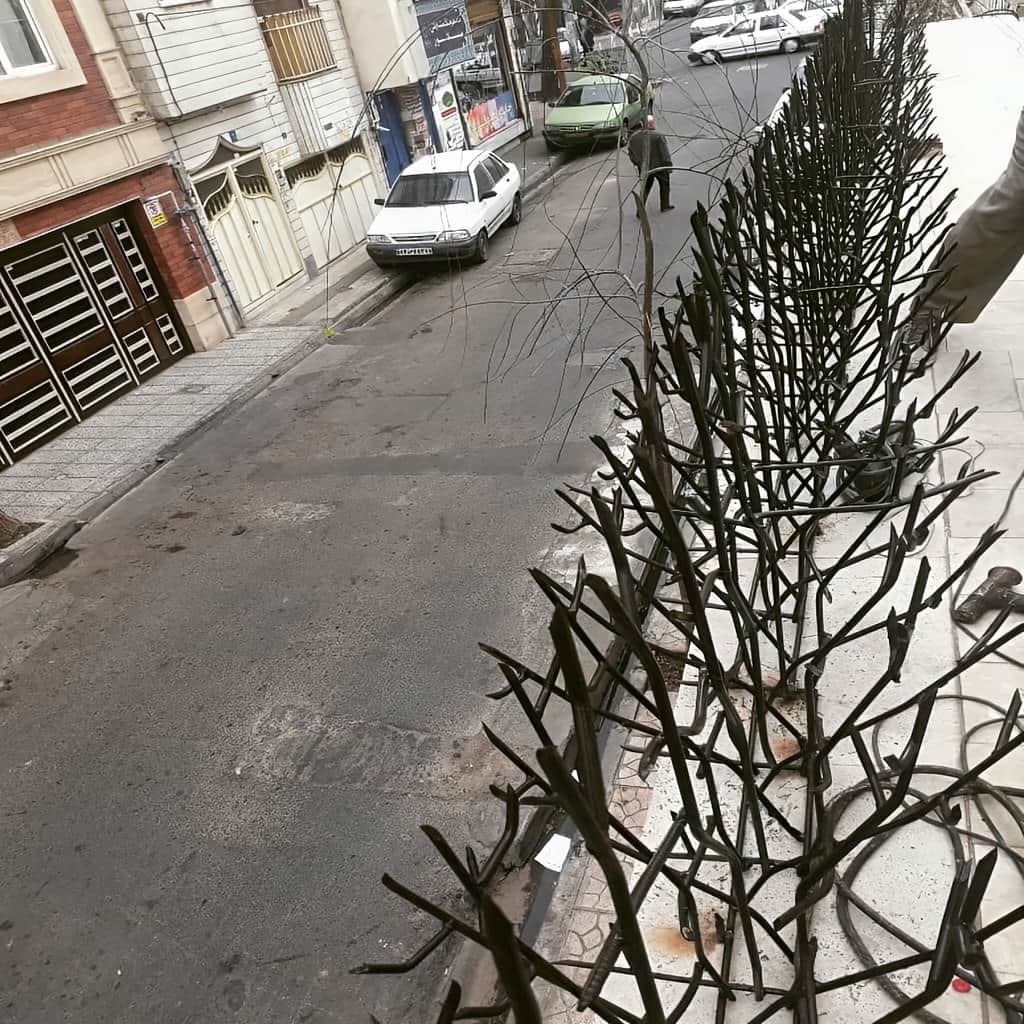 حفاظ بوته ای دیوار پرتراکم برای امنیت ورودی ساختمان