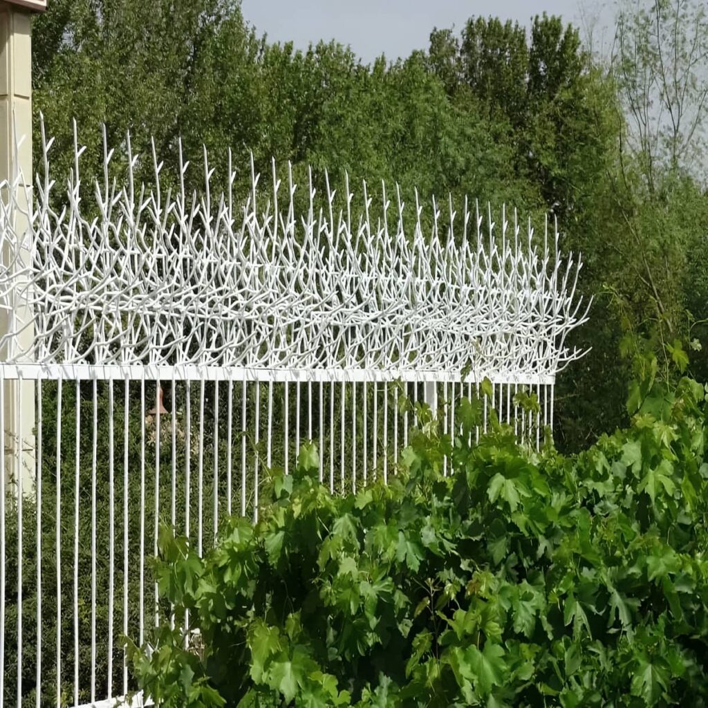 مدل نیزاری حفاظ دیوار با پوشش پیوسته تاج دیوار