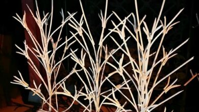 9 طرح حفاظ دیوار ویلایی مدرن طرح نیزه