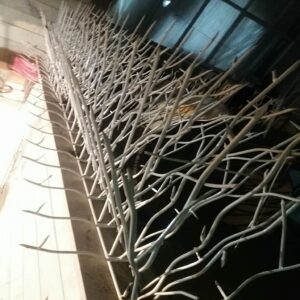 12 طرح حفاظ بوته ای دیوار پرتراکم