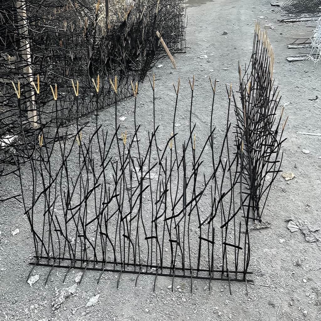 حفاظ غنچه ای نمای ساختمان