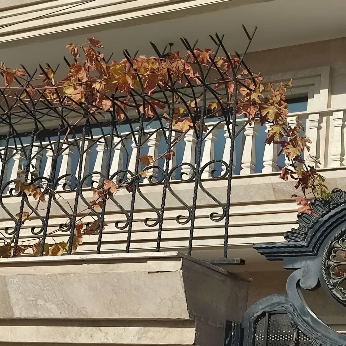 مرکز عرضه مستقیم حفاظ روی دیوار برای نصب سریع و اصولی
