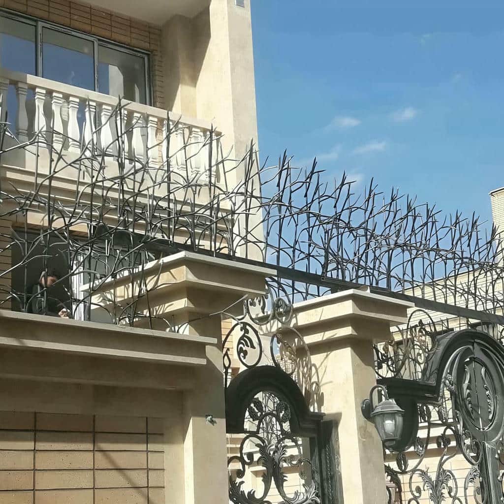 حفاظ شاخ گوزنی ساختمان