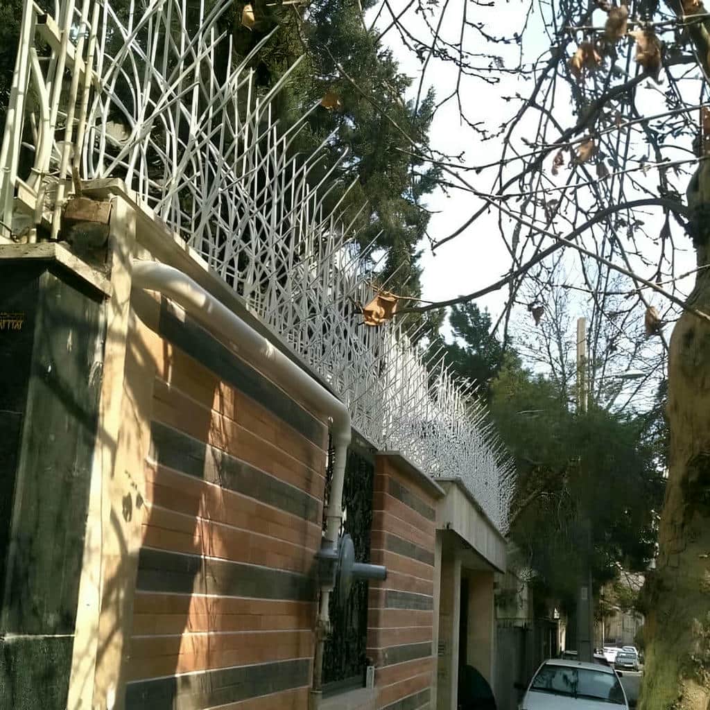 حفاظ شاخ گوزنی دیوار ساختمان
