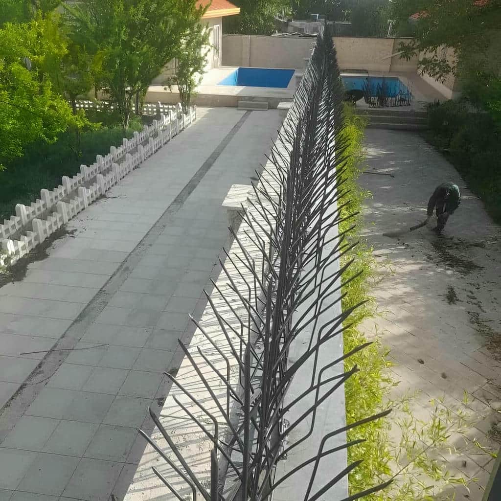 حفاظ دیوار لیلیوم مدرن