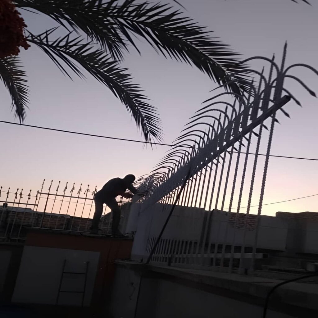 حفاظ شاخ گوزنی کنار دیوار حفاظ شاخ گوزنی کنار دیوار