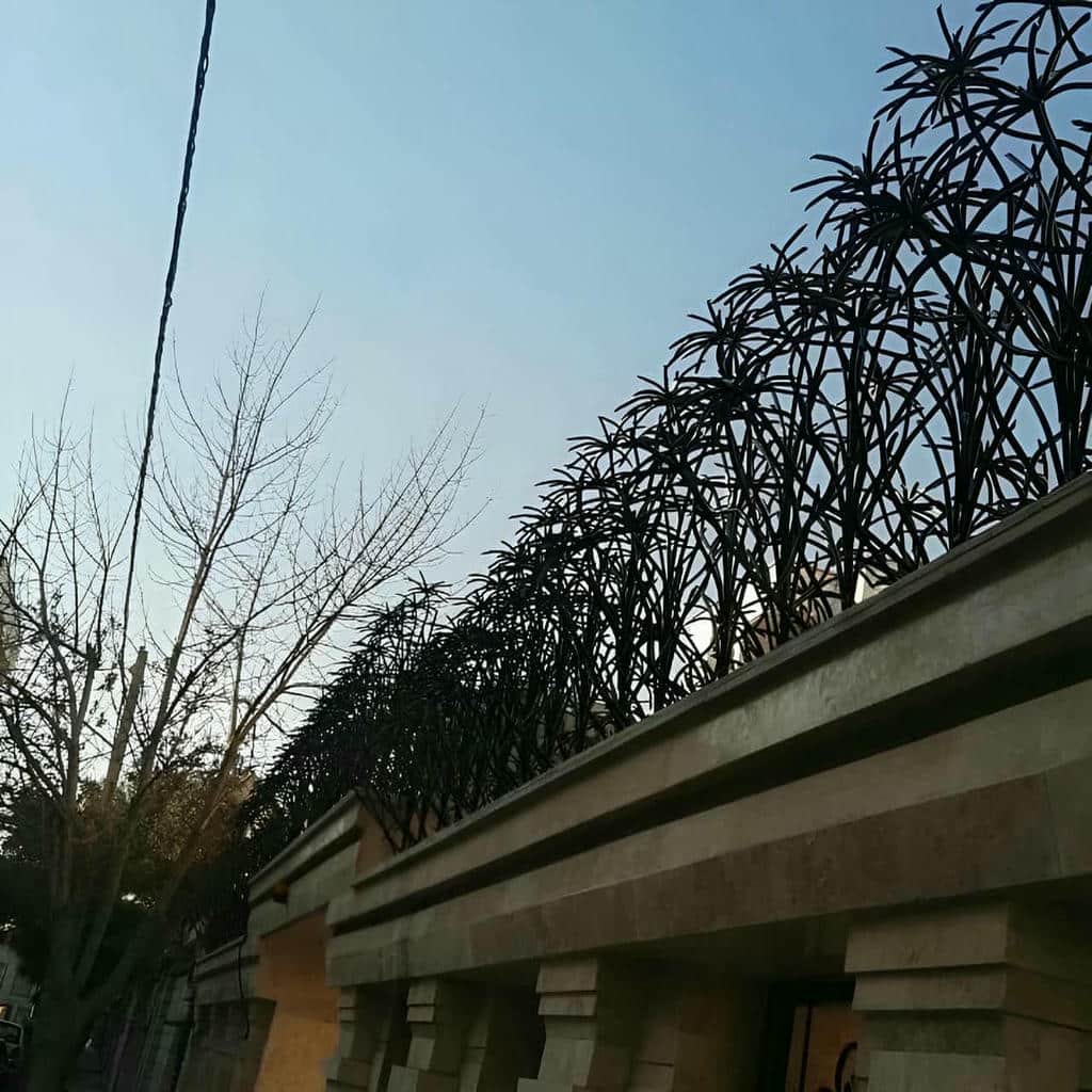 مرکز فروش تخصصی حفاظ نخل مرداب ویژه سفارش اینترنتی و ارسال به شهرستان