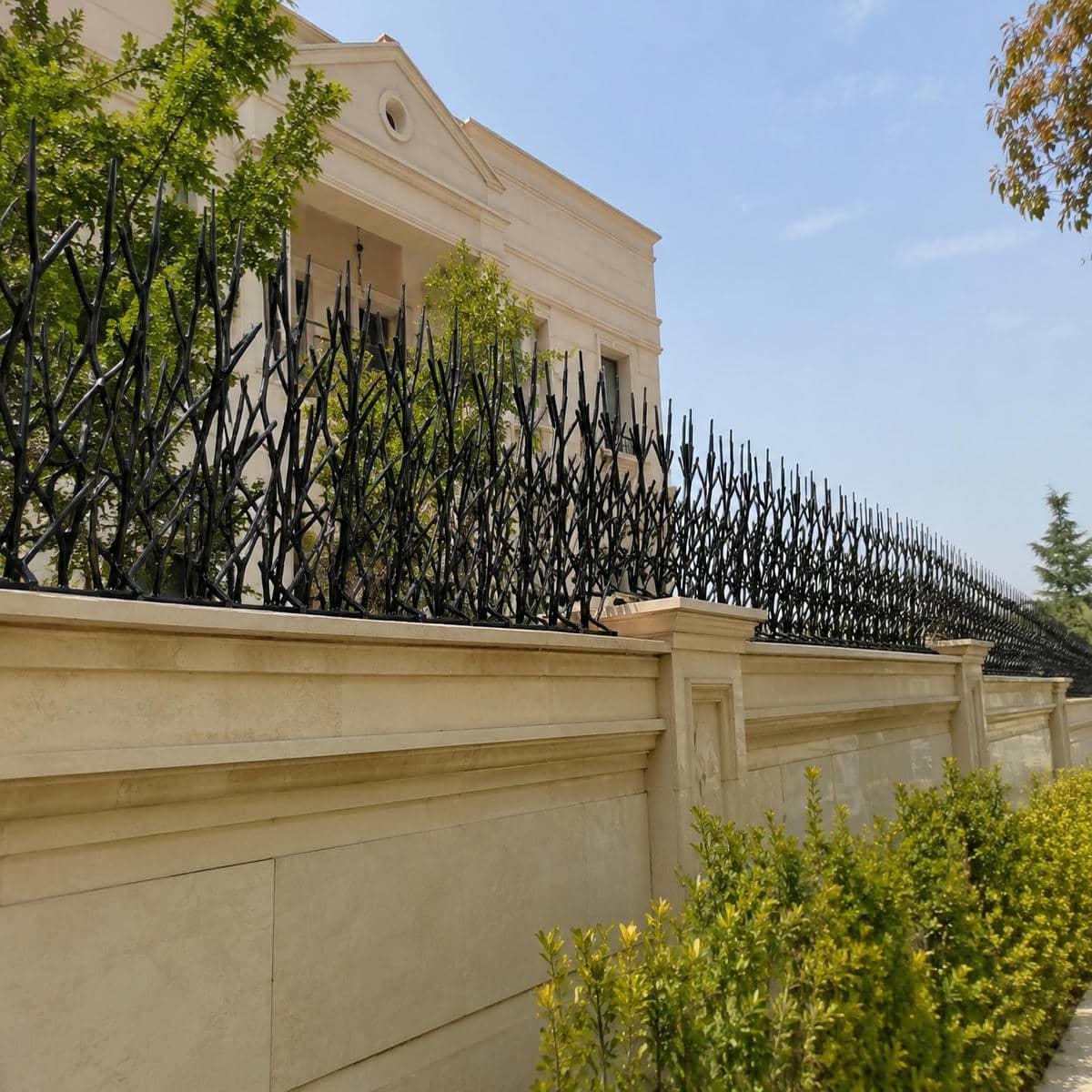 حفاظ دیوار شاخ گوزنی مشکی در استان گلستان