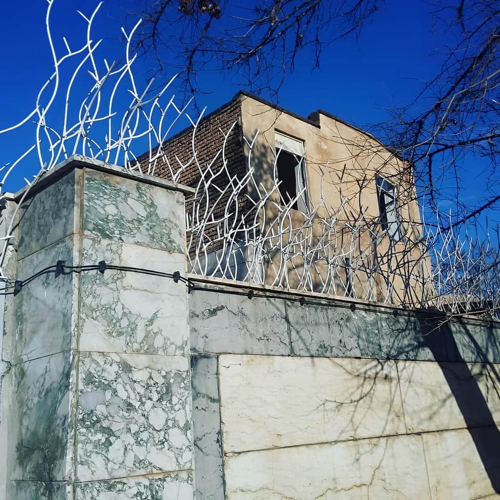 نرده روی دیوار با شاخه های متراکم